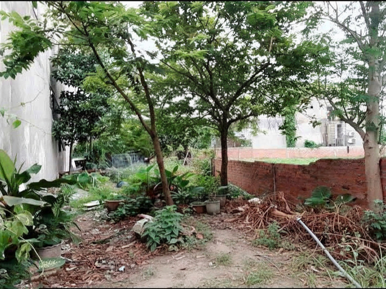 H1710 đất Nở hậu Lê Văn Khương Q12, 233m2, SHR, 7.x tỷ