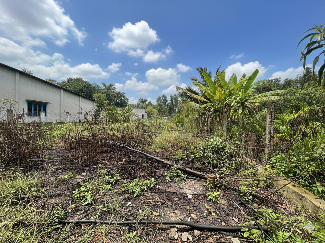 H1740 đất Nhị Bình 15 Hóc Môn, SHR, Vuông, HXT, 13.2x82m, 14.x tỷ