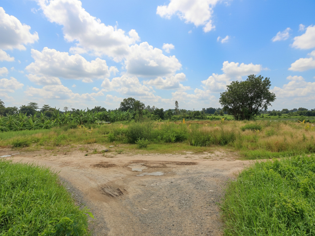 T1753 đất Thạnh Xuân 52 Hóc Môn, SHR, HXT, 55x51m, 16.x tỷ