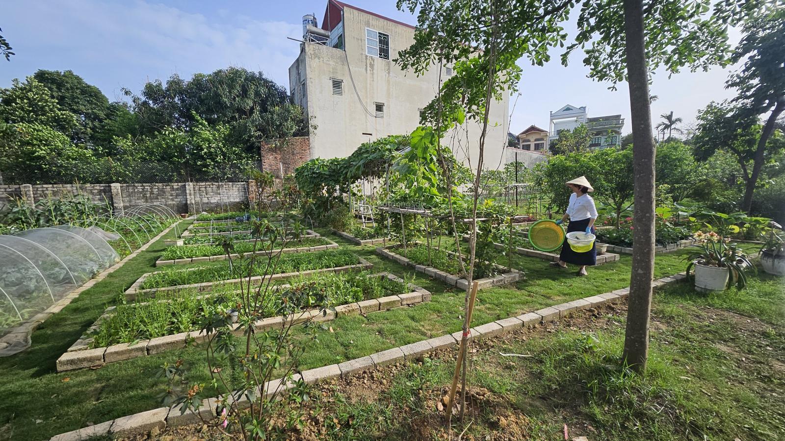 Cho thuê làm sân pickleball,sân bóng đá diện tích rộng 5000m2 lâu dài tại hà nội