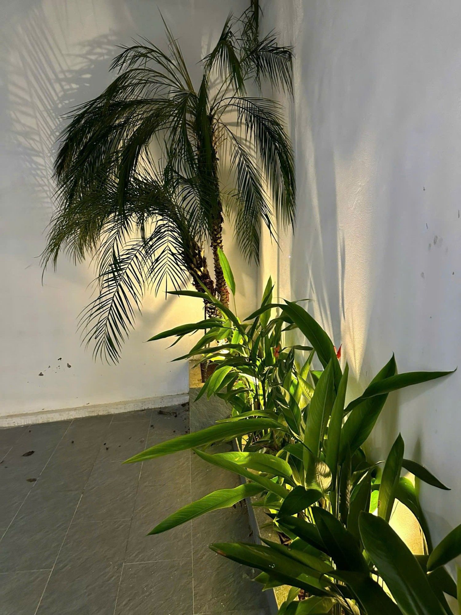 BÁN NHÀ TÂY HỒ - CÁCH MẶT PHỐ VÀI BƯỚC CHÂN RA PHỐ - Ô TÔ ĐỖ CỦA - SÂN RIÊNG - HIẾM