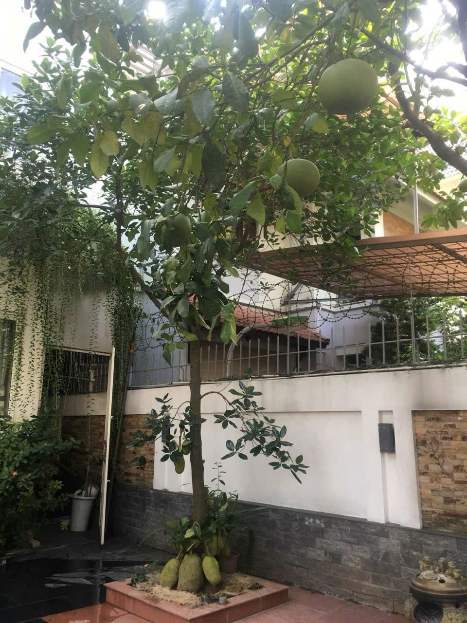 VỠ NỢ BÁN GẤP BIỆT THỰ 273M2, CHỈ NHỈNH 70 TỶ,MT 14M, XÂY 4 TẦNG, VỈA HÈ RỘNG,KINH DOANH ĐỈNH