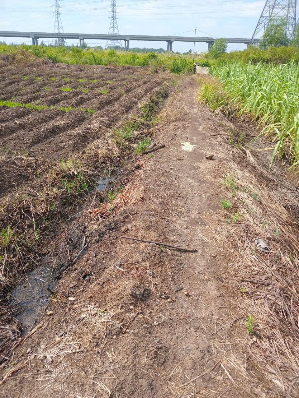 HOT ! HOT ! HOT ! SIÊU PHẨM ĐẤT ĐẸP - Phù Hợp Cho Mọi Gia Đình