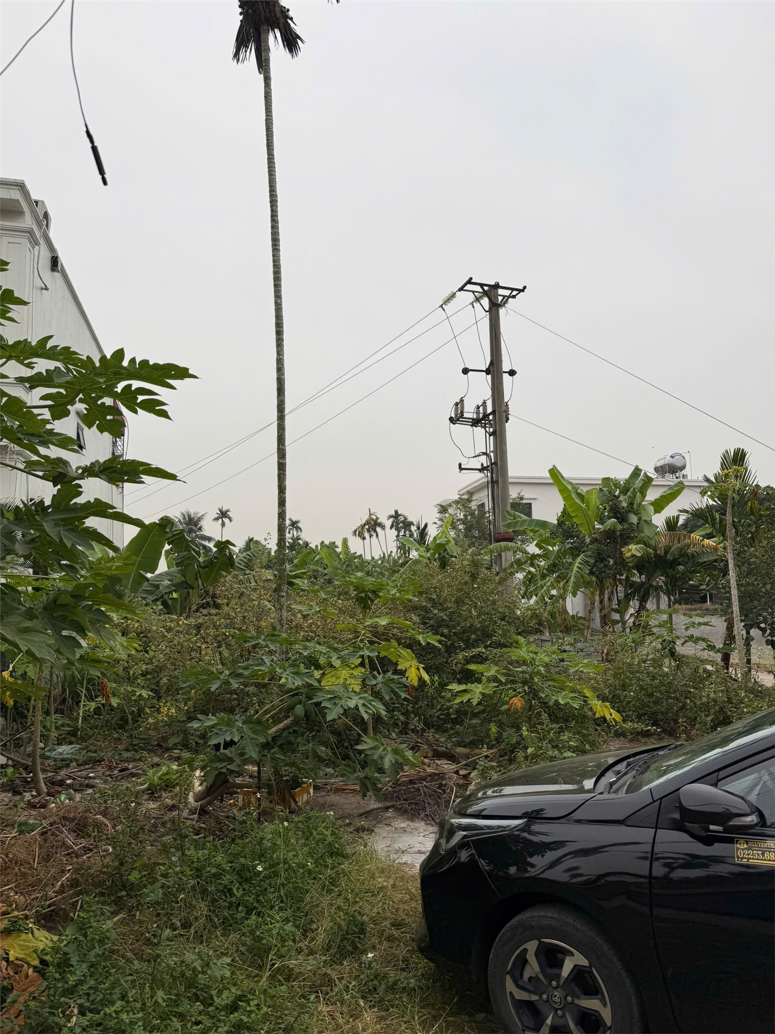 LÔ ĐẤT SAU MẶT ĐƯỜNG PHẠM VĂN ĐỒNG (353) – 247M² – MẶT TIỀN 11M HIẾM – GIÁ CHỈ 2X TRIỆU/M² ZALO 0567 222 555