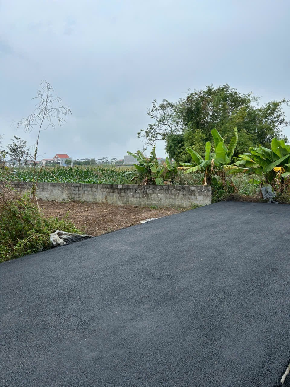 9xx TRIỆU – LÔ ĐẤT THÙ DU MINH TÂN – NGÕ NHỰA 4M ÁP PHAN – GIÁ HIẾM KHU VỰC ZALO 0567 222 555