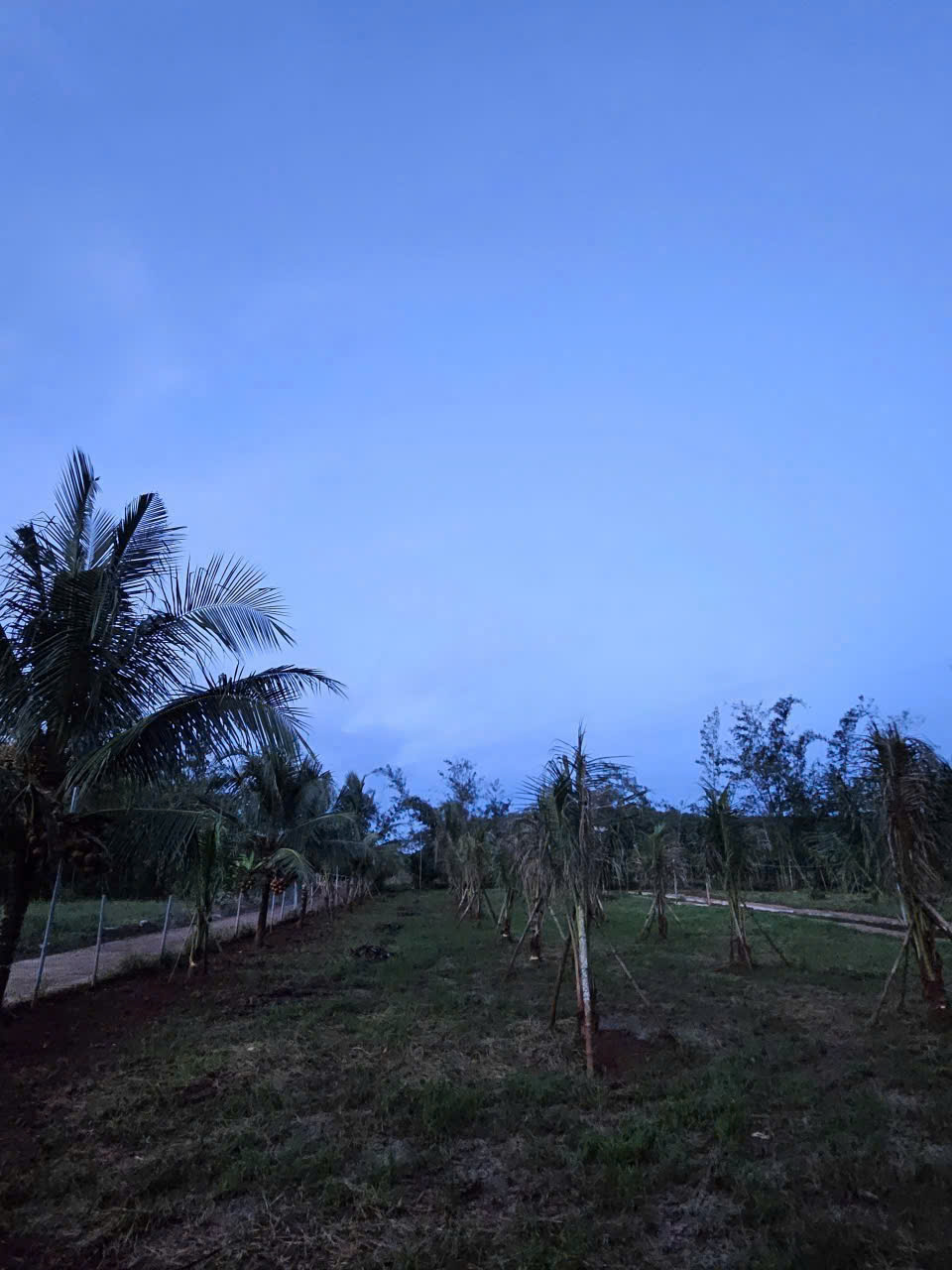 CHỈNH CHỦ BÁN SIÊU PHẨM ĐẤT ĐẸP - Phù Hợp Cho Mọi Gia Đình