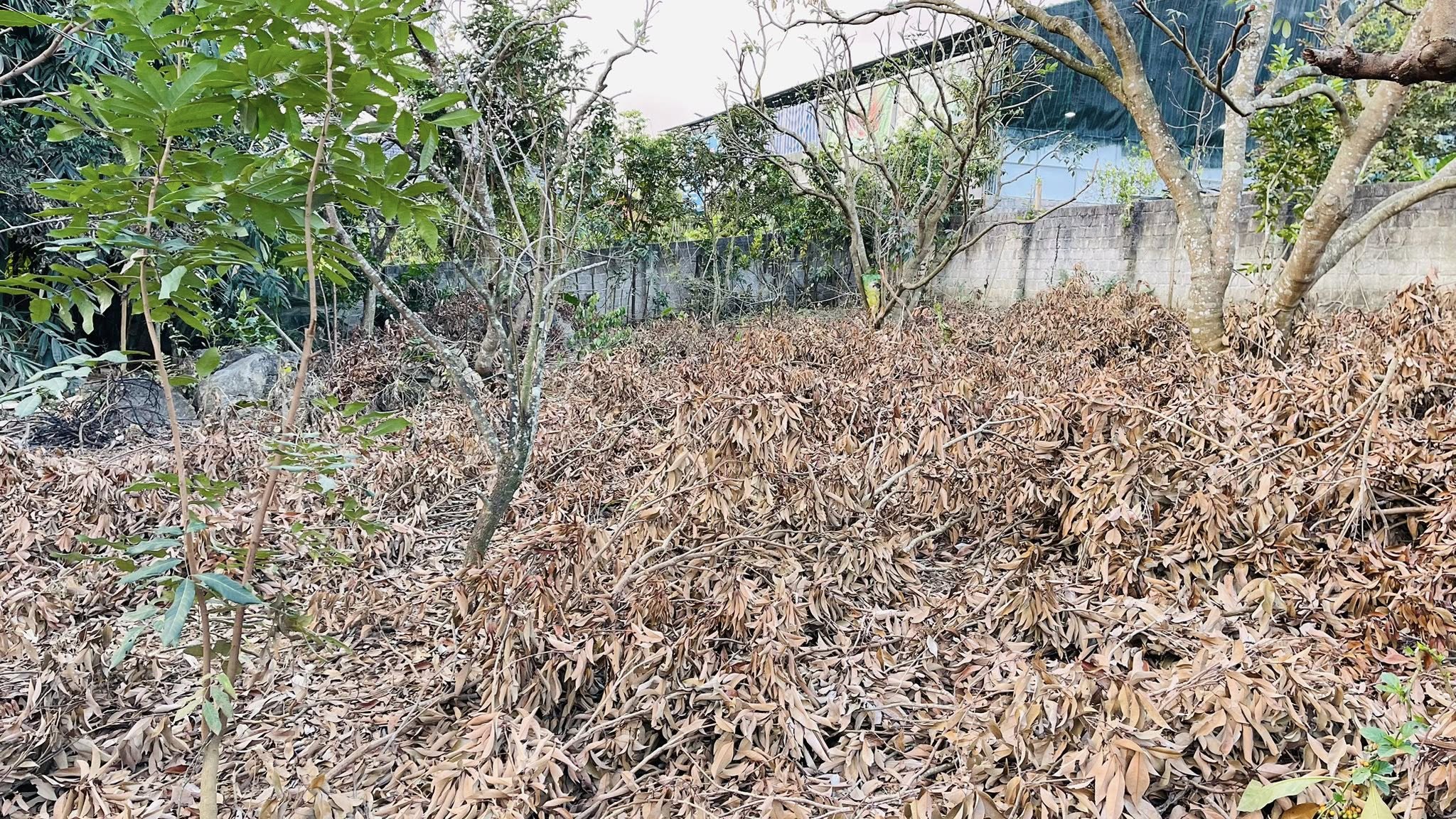 Bán lô đất 645m2 ( rộng 15, sâu 43m)Thuộc Tiểu Khu Bó Pun – Mộc Châu – Sơn La.