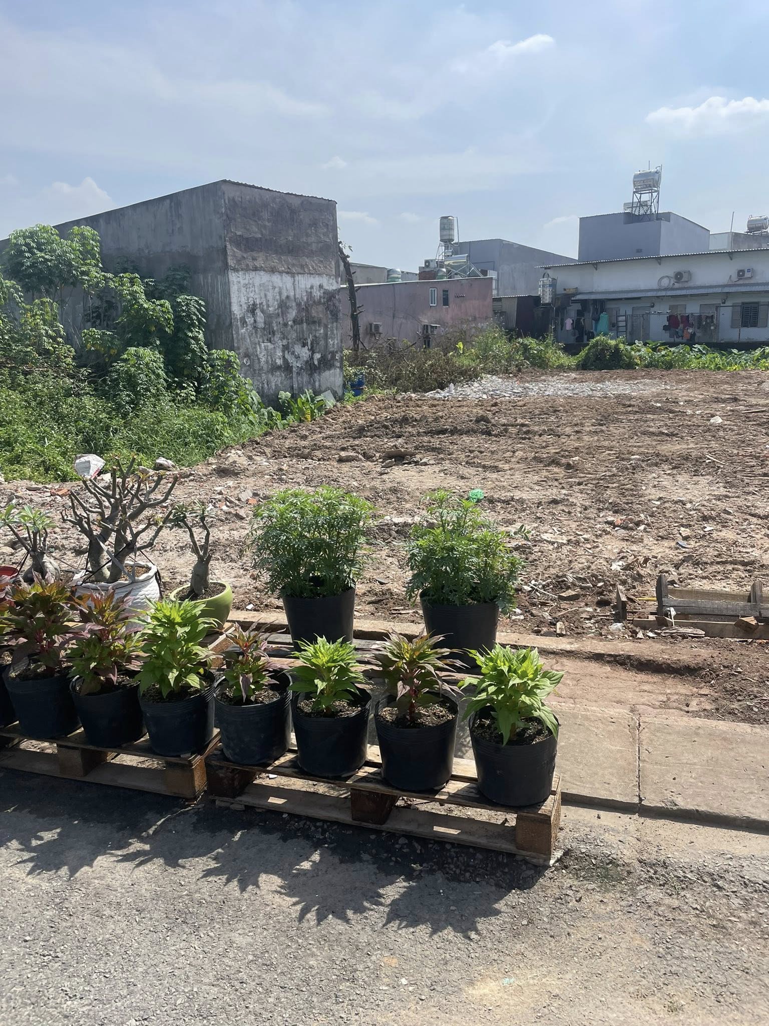 Bán đất mặt tiền đường nhựa 12m ngang 5x18m giá 5 tỷ Đường Đông Thạnh 7-3