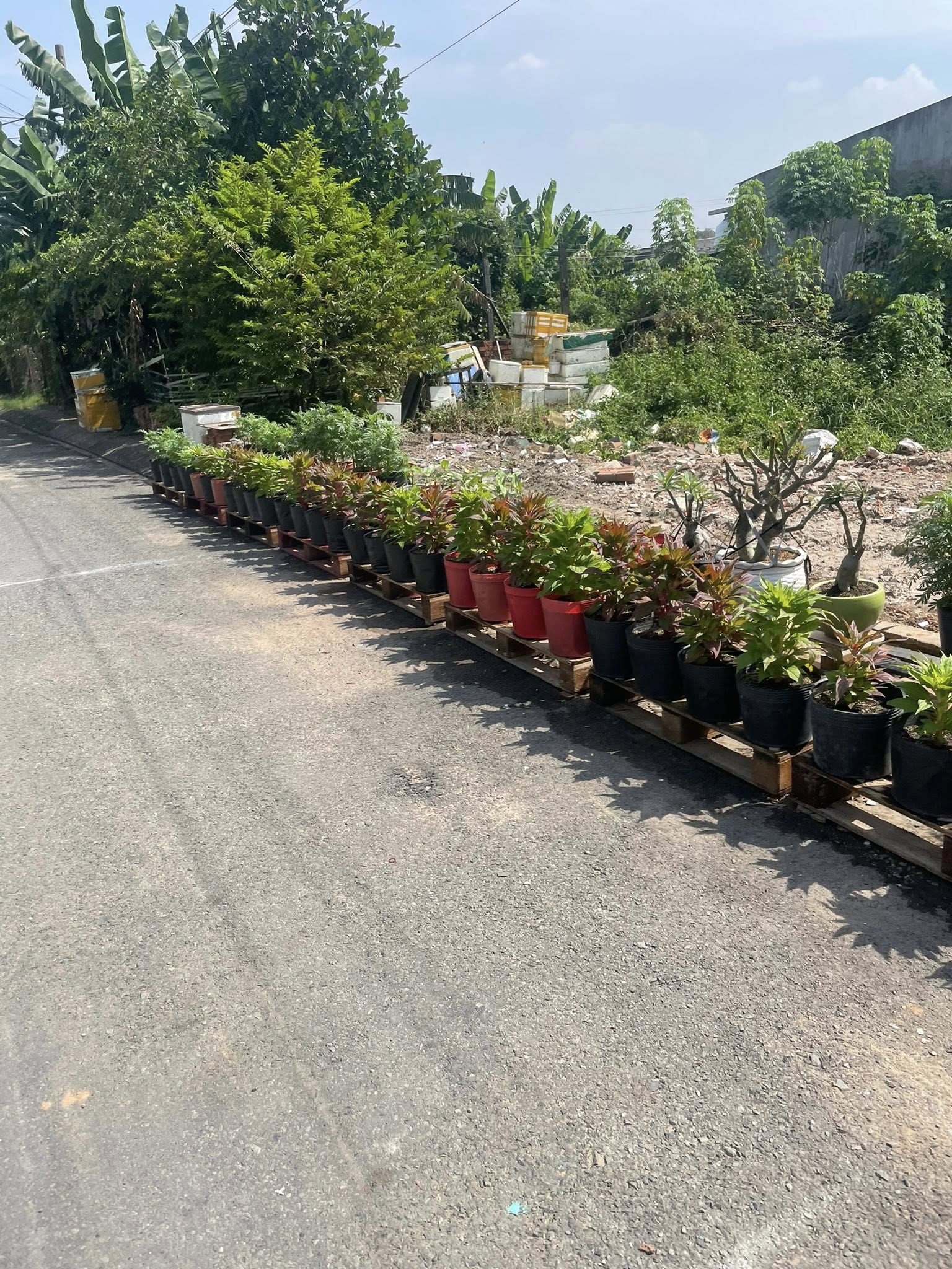 Bán đất mặt tiền đường nhựa 12m ngang 5x19m giá 5 tỷ Đường Đông Thanh 7-3