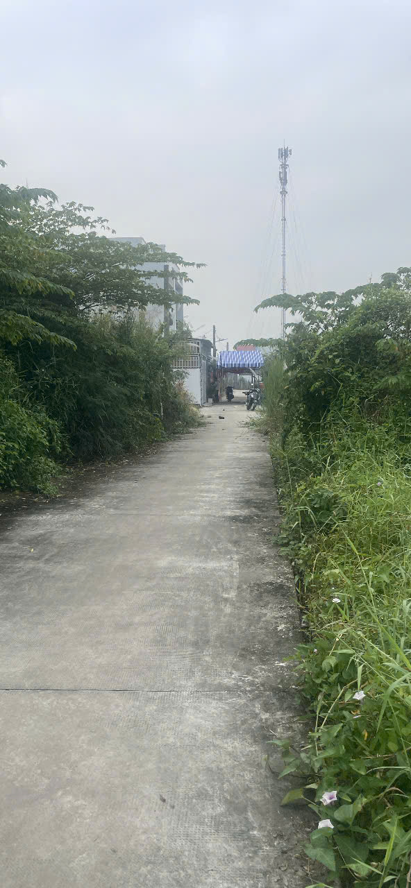 GIÁ TỐT: CHÍNH CHỦ BÁN 2 LÔ ĐẤT DIỆN TÍCH 1097.4M2 VÀ 1134M2 TẠI XÃ PHƯỚC LÝ, HUYỆN CẦN GIUỘC, LONG AN