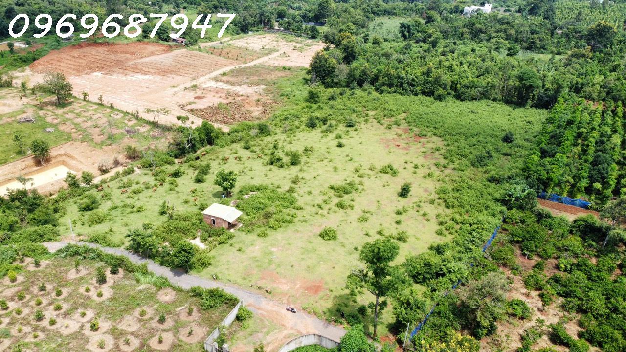 LÔ ĐẤT ĐỎ 1.3 HECTA - PHƯỜNG EAKAO - T. ĐĂK LĂK - 750TR/ SÀO