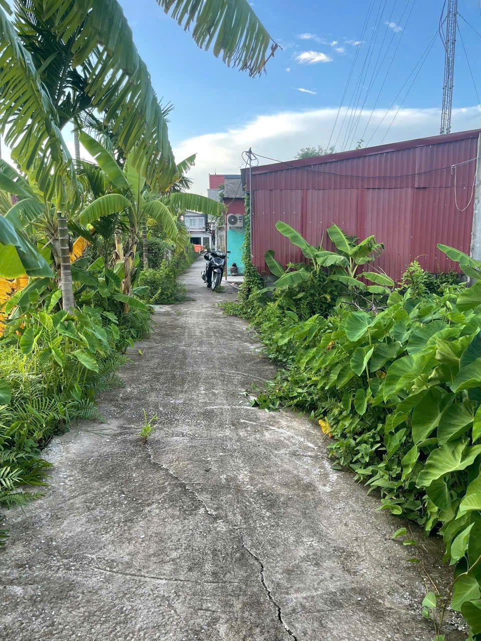 Giá hiếm 6xx triệu – Lô 62.3m² tuyến 2 Bình Minh, Nam Đồ Sơn, đầu tư sinh lời nhanh – ZALO 0567 222 555