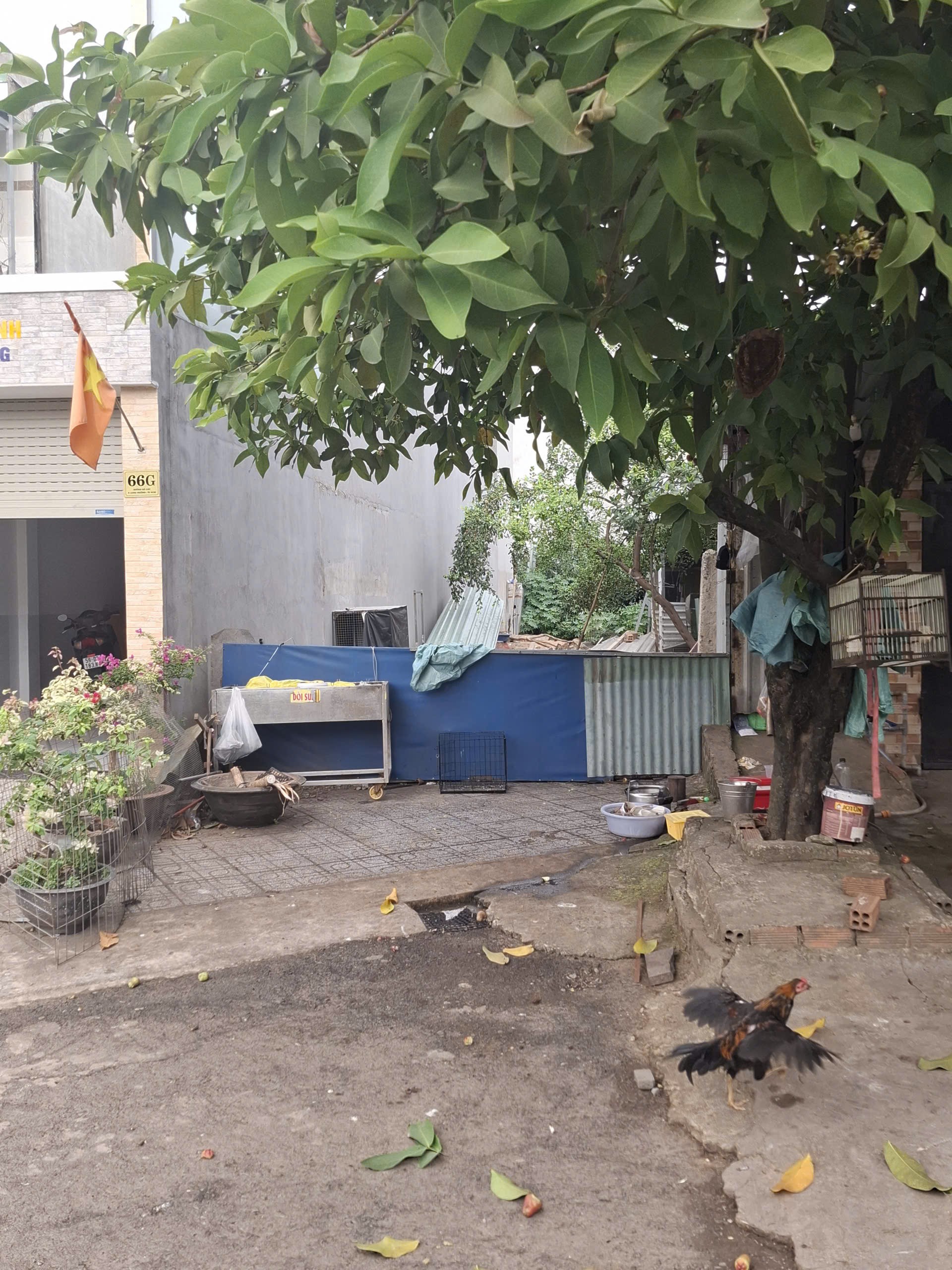 Bán đất mặt tiền đường Gò Cát Phú Hữu Quận 9 giá 6,95 tỷ