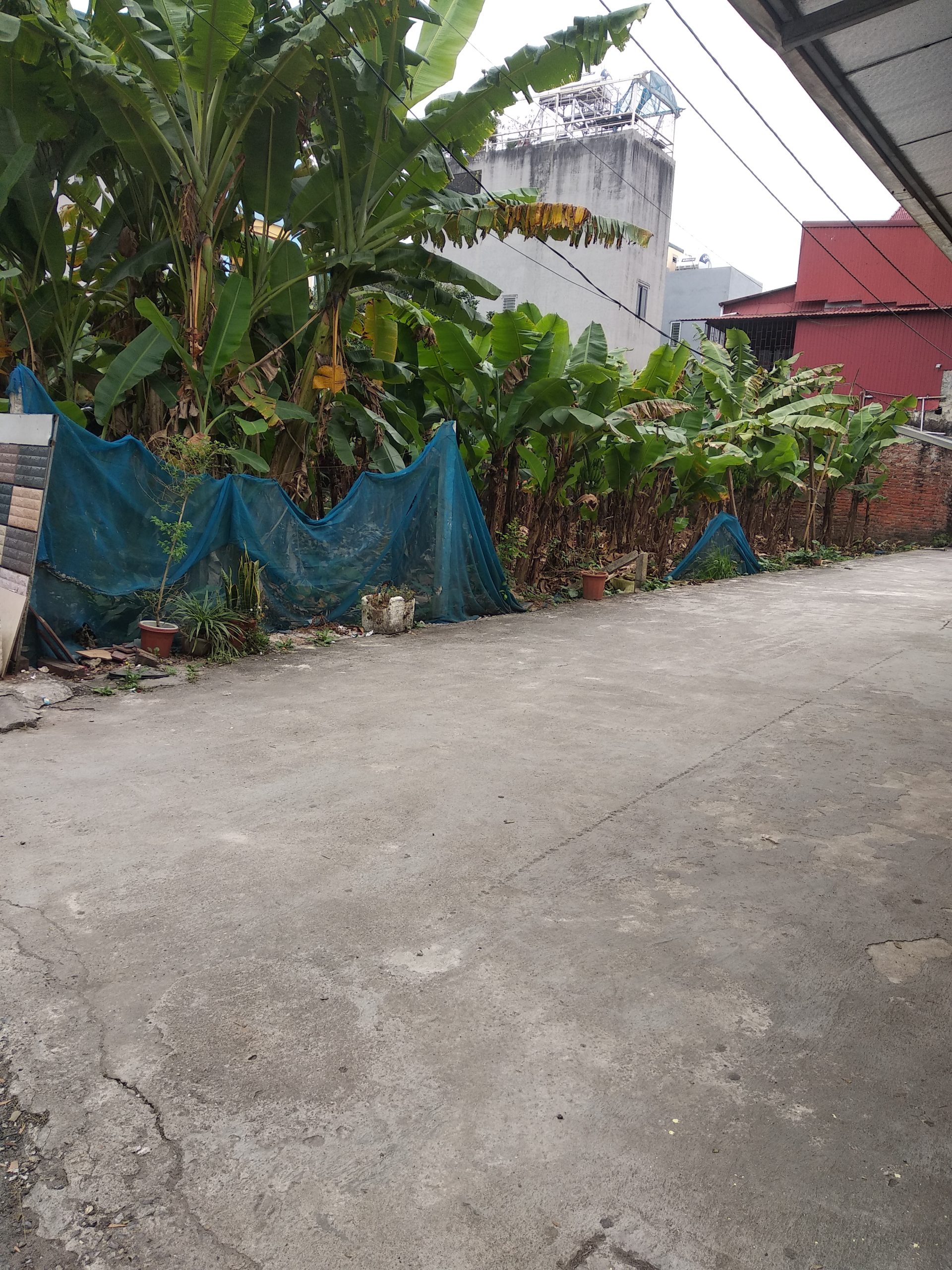 BÁN ĐẤT THÚY LĨNH, HOÀNG MAI, DIỆN TÍCH 58M, Ô TÔ ĐẬU CỬA