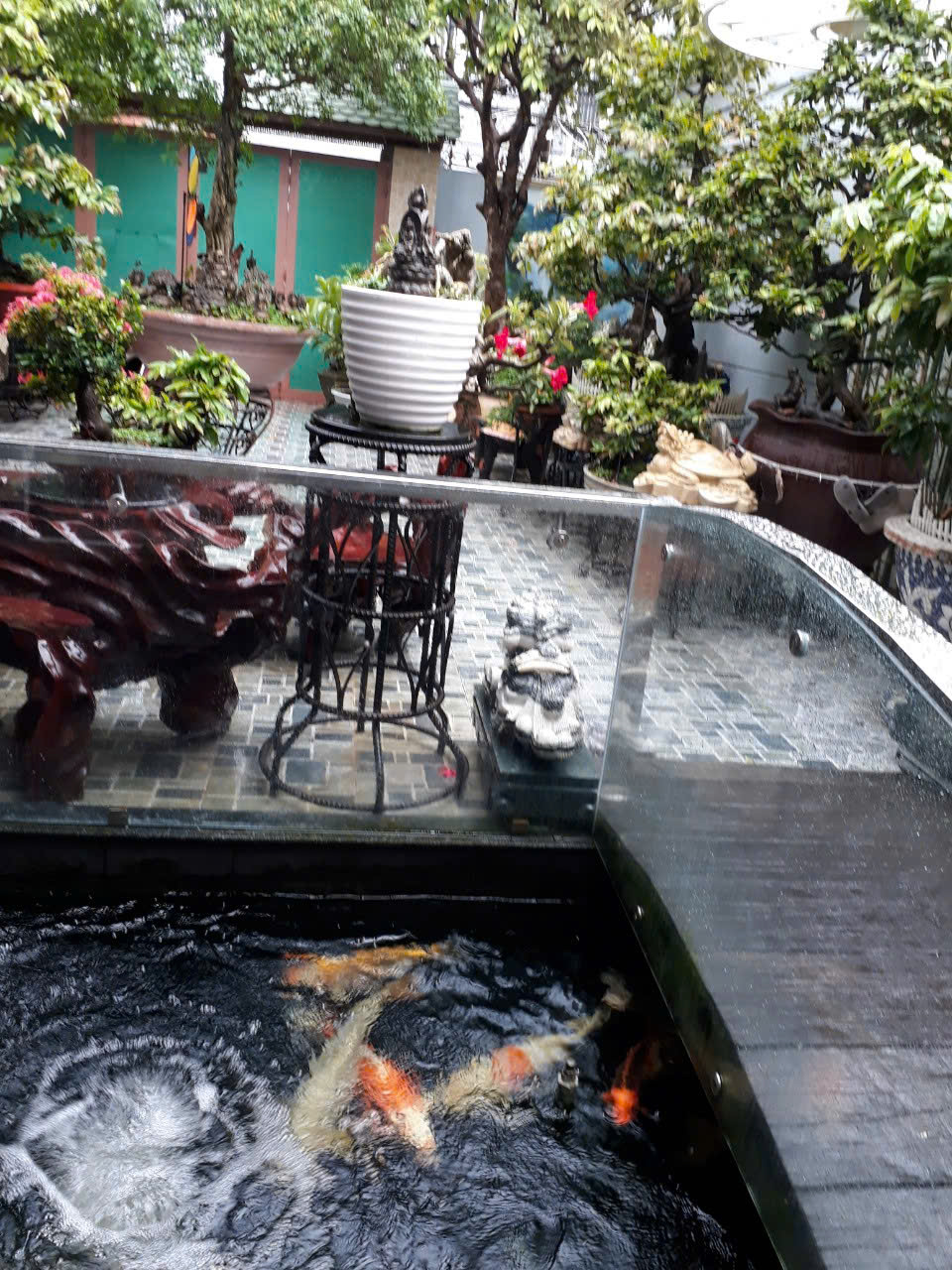 SIÊU PHẨM NHÀ VƯỜN GIỮA LÒNG GÒ VẤP – HIẾM CÓ KHÓ TÌM