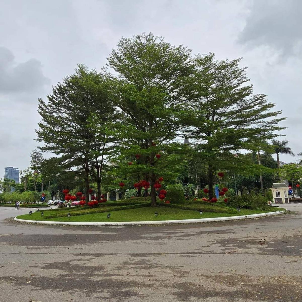 BIỆT THỰ KHU T, CIPUTRA, TÂY HỒ-VỈA HÈ-KD-Ô TÔ:305/335M X4T, MT 16M, GIÁ 136,8 TỶ.