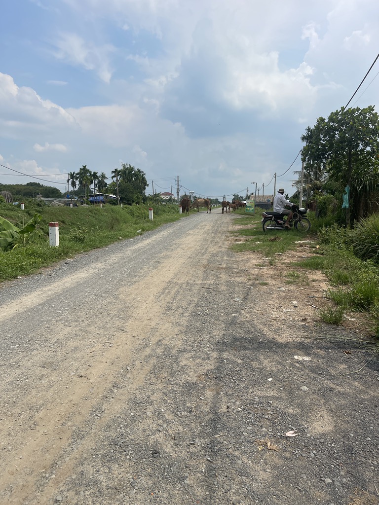 Siêu phẩm đất 4700m2 - Tân Thới Nhì - Hóc Môn SHR, 25 tỷ. Đầu tư, Ngay Chỉ 25 Tỷ