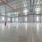  5000m2 - 5