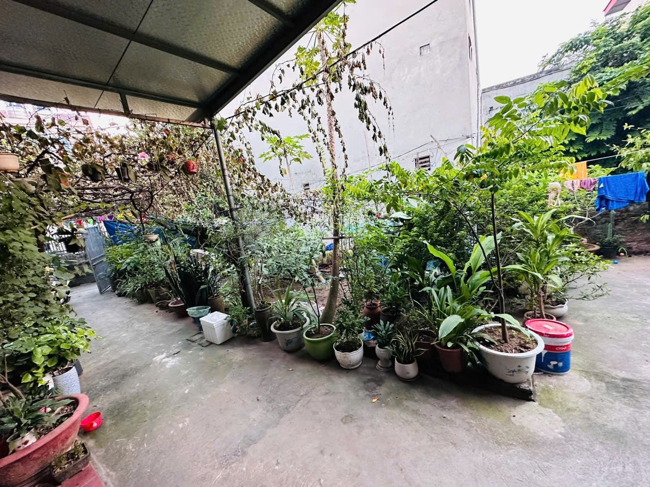 + Chính chủ cần bán mảnh đất diện tích 39m3 cực đẹp, lô góc cực