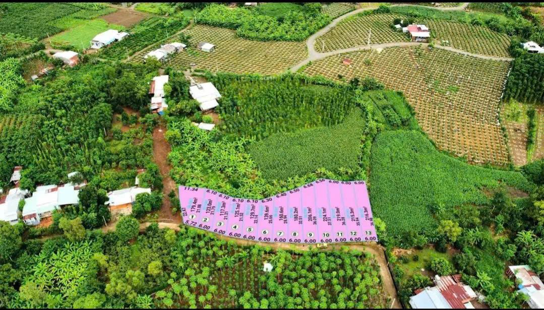 E cần bán sỉ lốc xuân sơn giá đầu tư . 15 ngày nữa có sổ . E cho cọc 40 ngày công chứng ạ