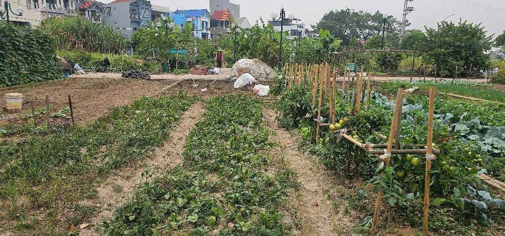 Bán đất Đấu Giá Hội Phụ- Phân Lô- Vỉa Hè- Oto tránh - Hàng xóm Vinhome Cổ Loa- 80M nhỉnh 12 tỷ(TL)