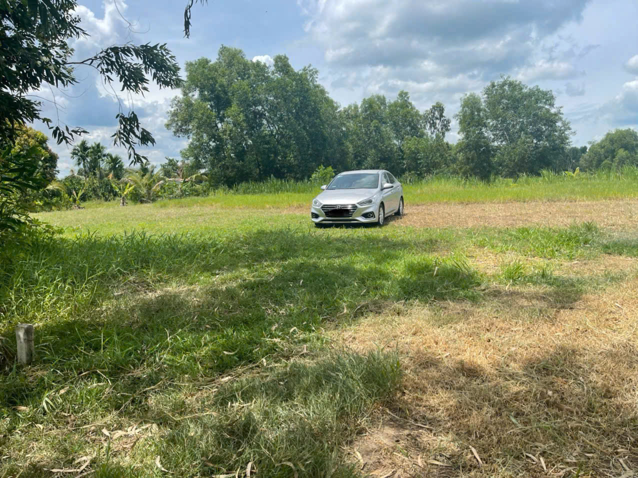 Bán đất full thổ cư xã Mỹ Thạnh Tây , Đức Huệ tdt 4077m2 giá 4,5 tỷ