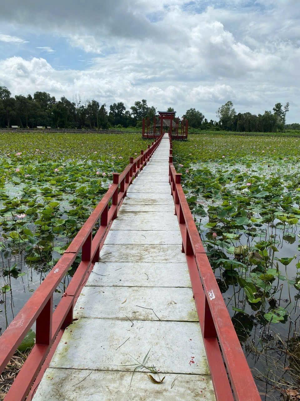 Bán đất vườn / Rạch Láng The , xã Phú Hòa Đông dt 7500m2 giá 7 tỷ