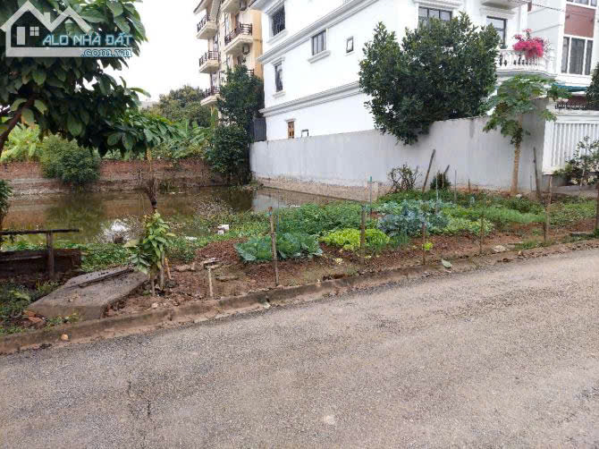 SIÊU PHẨM - BÁN LÔ ĐẤT NHÀ VƯỜN TRUNG TÂM TP. NINH BÌNH – VỊ TRÍ Ở QUẢNG TRƯỜNG 2 - GIÁ TỐT ĐẦU TƯ