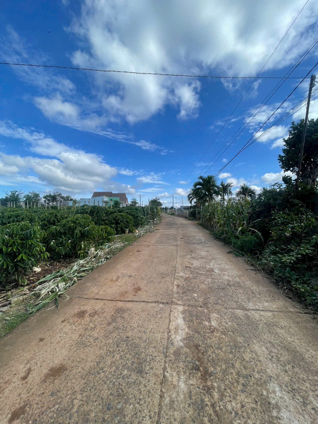 ĐẤT ĐẸP – GIÁ ĐẦU TƯ - CẦN BÁN LÔ ĐẤT TẠI xã Tân Hội huyện Đức Trọng, tỉnh Lâm Đồng