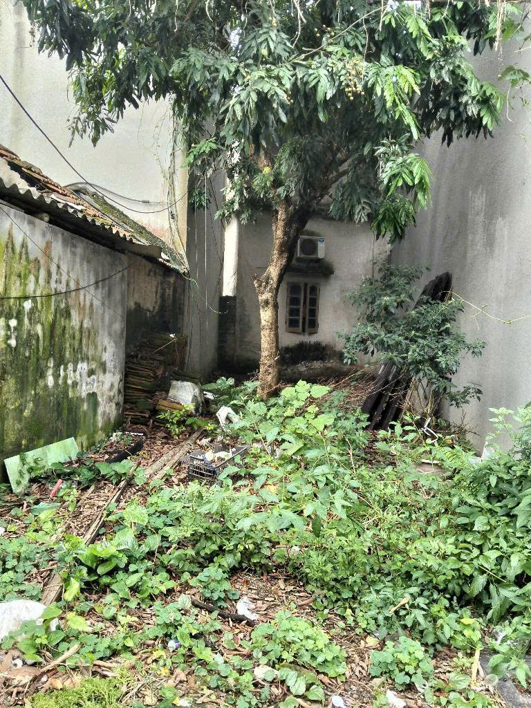 .THỬA ĐẤT ĐẸP GIÁ HỢP LÝ- KHU VỰC ĐẠI ÁNG ĐANG PHÁT TRIỂN.