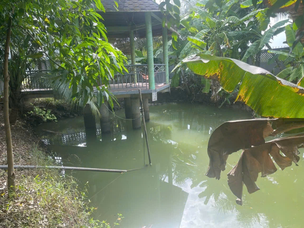 Bán nhà vườn xã Long Cang , Cần Đước tdt hơn 1200m2 đất + vườn gía 3,95 tỷ