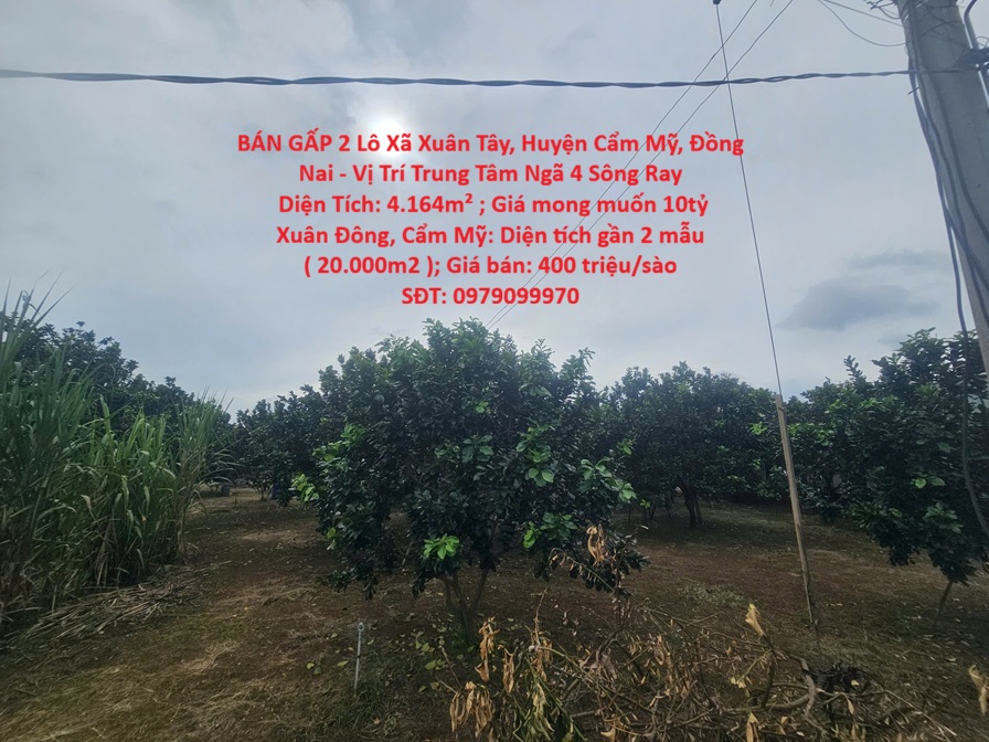 BÁN GẤP 2 Lô Xã Xuân Tây, Huyện Cẩm Mỹ, Đồng Nai - Vị Trí Trung Tâm Ngã 4 Sông Ray