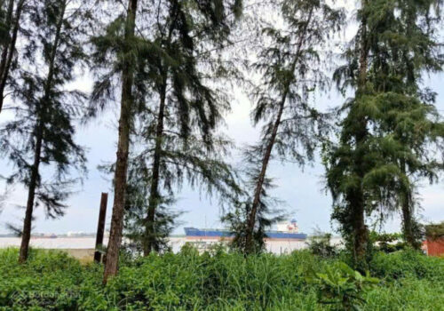 BÁN NỀN BIỆT THỰ ĐÀO TÔNG NGUYÊN;PHÚ XUÂN; NHÀ BÈ; 10 TỶ; 200M2