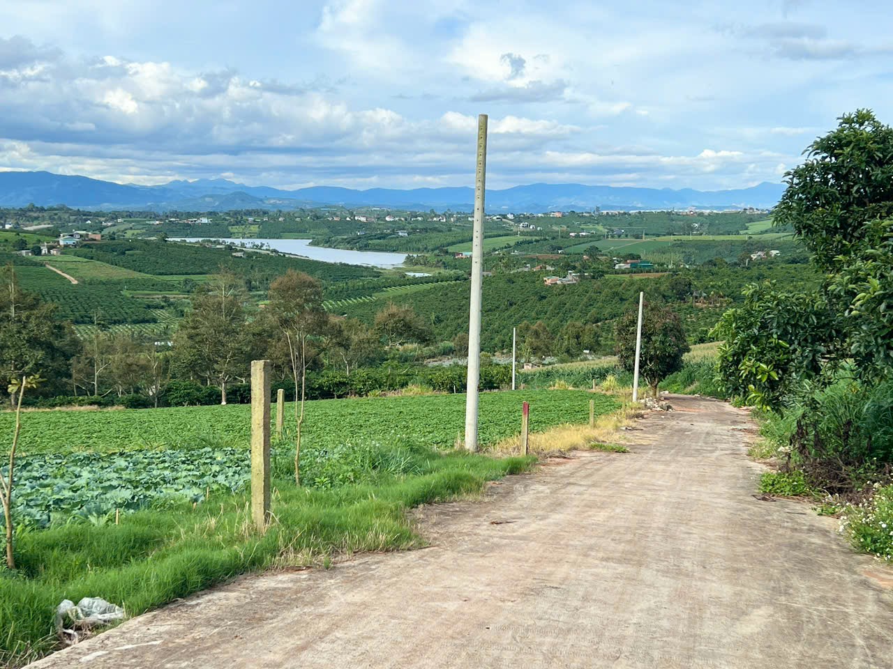 View hồ Phúc Thọ-Lâm Hà dt 1132m2 sẵn 100m2 thổ cư cách DT725 chỉ 2km kdc tiện ích xung quanh chưa tới 500m giá 850tr