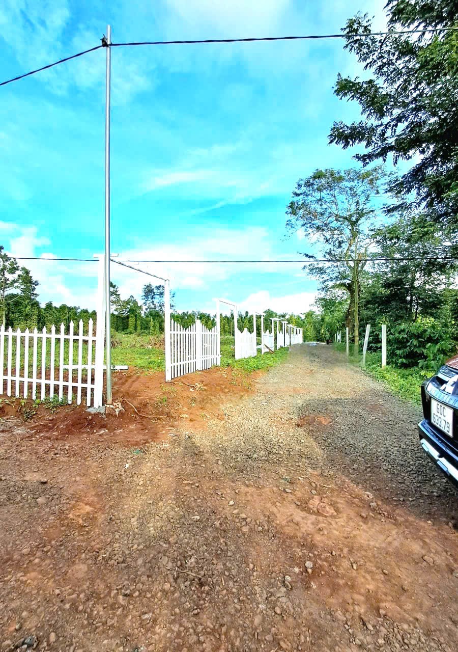 Bình Yên Village Cư Kuin - Đắk Lắk full thổ cư 150m2 bàn giao cổng hoa, đường điện giá chỉ từ 185tr