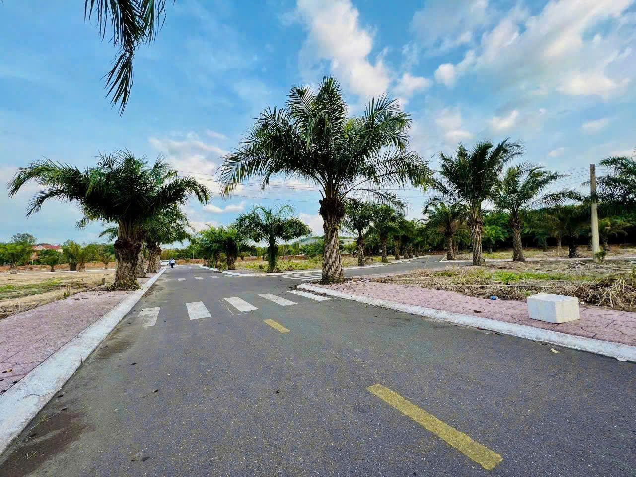 CƠ HỘI VÀNG CHO NHÀ ĐẦU TƯ SĂN ĐẤT LONG THÀNH GIÁ TỐT TRƯỚC KHI SÂN BAY CẤT CÁNH