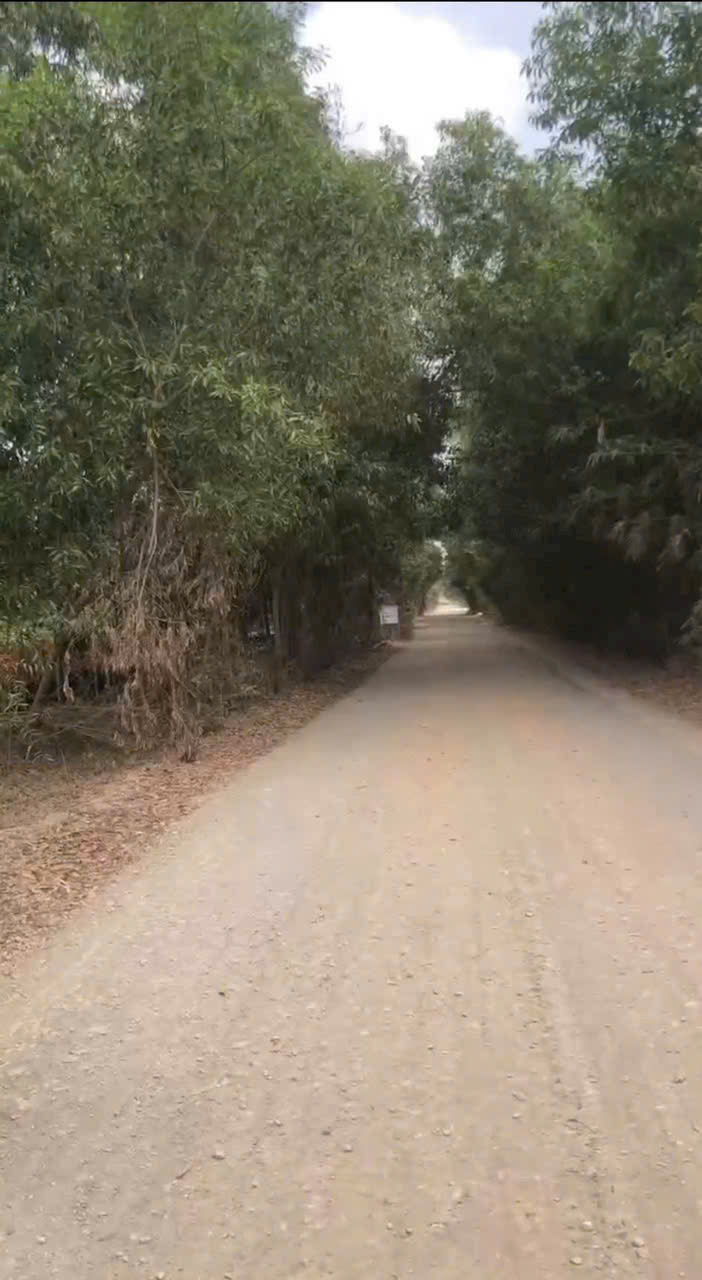 Bán đất lúa mặt tiền tỉnh lộ 820, xã Tân Phú , Đức Hòa giá giảm còn 5,5 tỷ