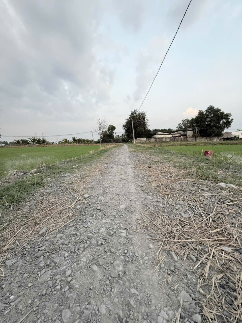 Bán đất thổ cư xã Hòa Khánh Đông , Đức Hòa dt 250m2 giá 1 tỷ 268 triệu