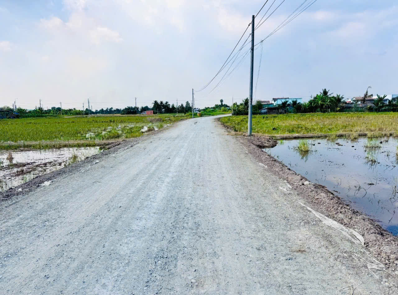 Bán đất thổ cư mt đường beton Trần Văn Lợi , xã Bình Trinh Đông , Tân Trụ dt 150m2 giá 590 triệu