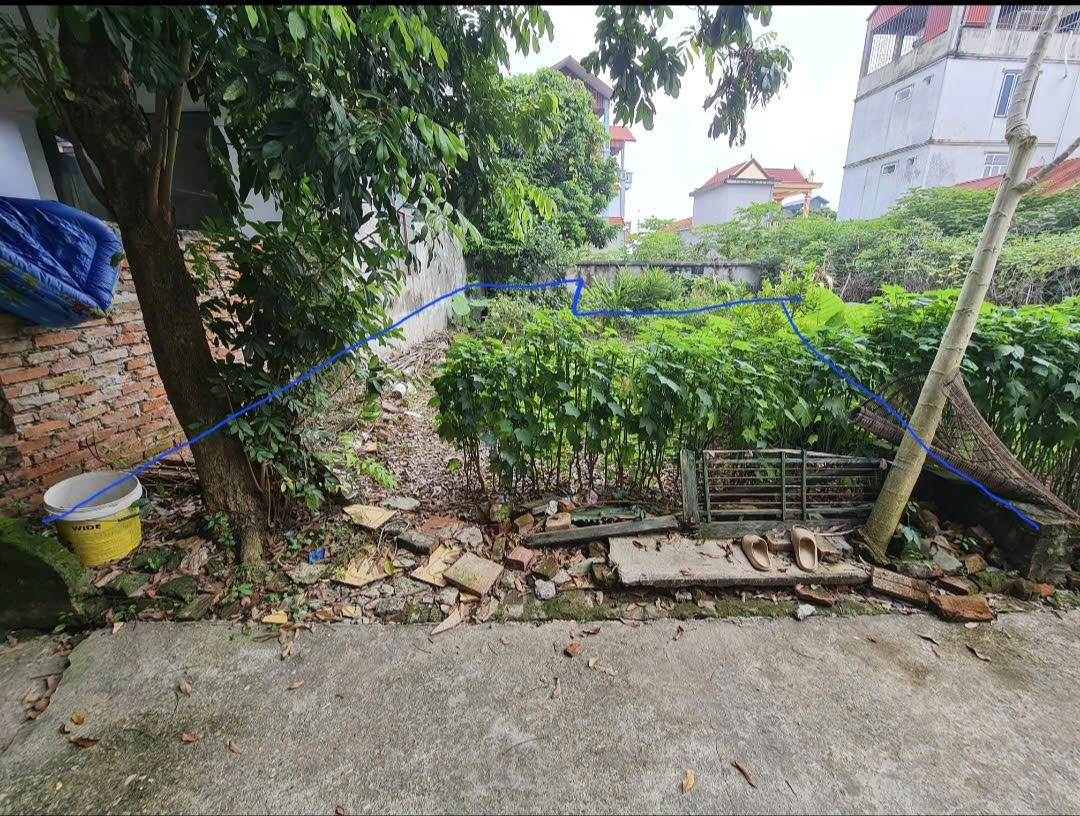 CHÍNH CHỦ CHO THUÊ ĐẤT TẠI THÔN PHÚ MỸ, XÃ NGỌC TẢO, HUYỆN PHÚC THỌ, HÀ NỘI