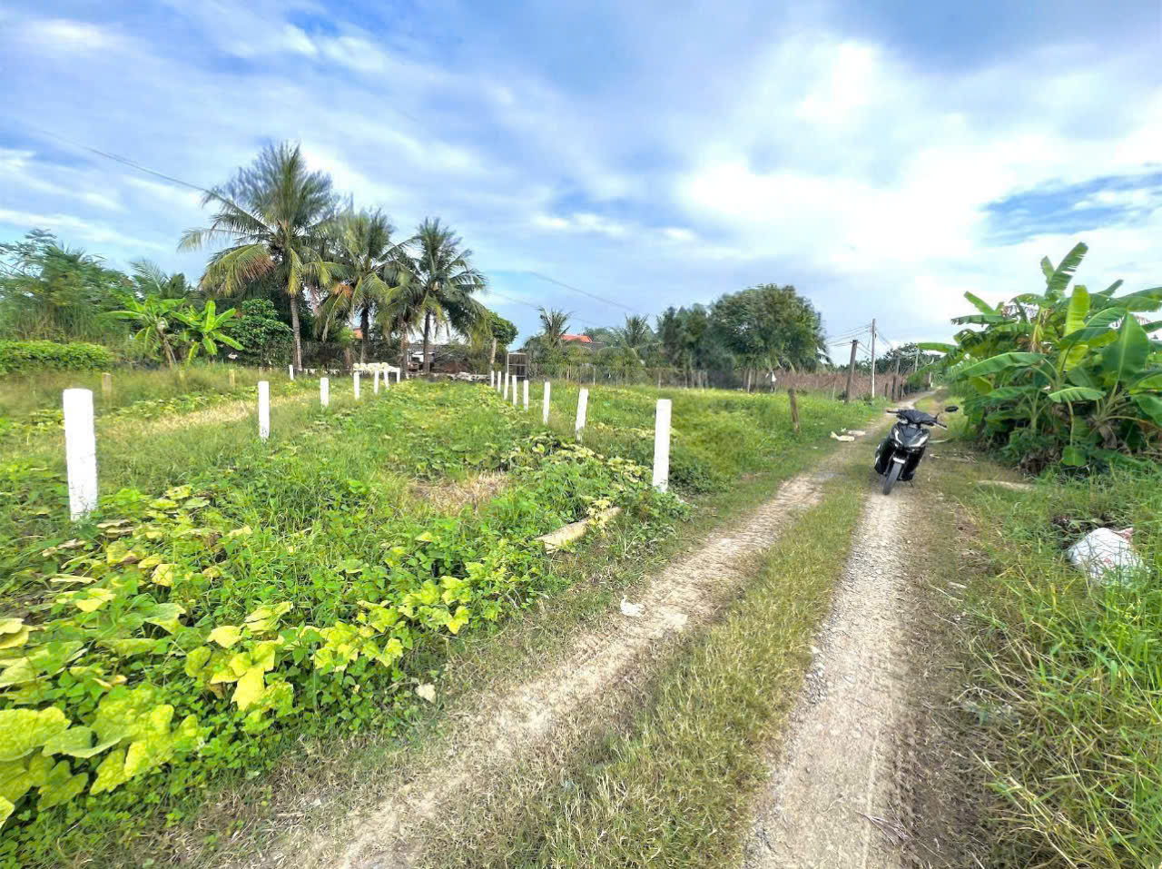 Bán nền thổ cư đường đá xanh 3,5m , xã Quê Mỹ Thạnh , Tân Trụ dt 123m2 giá 380 triệu