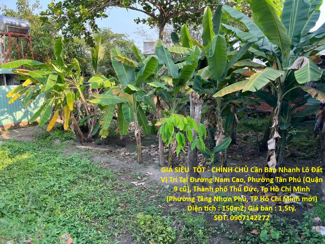 GIÁ SIÊU TỐT - CHÍNH CHỦ Cần Bán Nhanh Lô Đất Vị Trí Tại Thủ Đức, Thành Phố Hồ Chí Minh