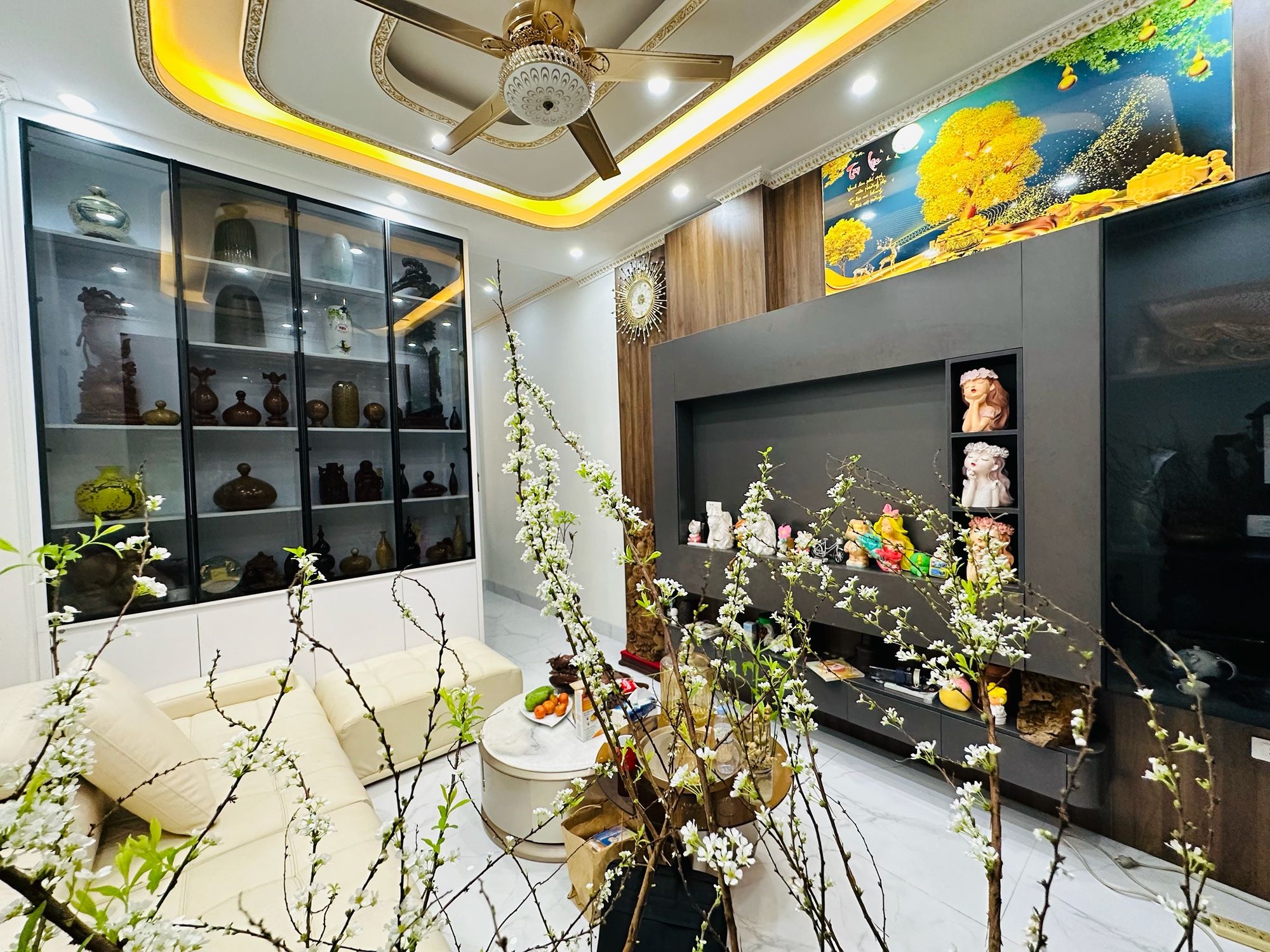 Bán Nhà Đẹp Long Lanh - Ở Ngay Hoàng Hoa Thám 48mx6T Full Nội Thất