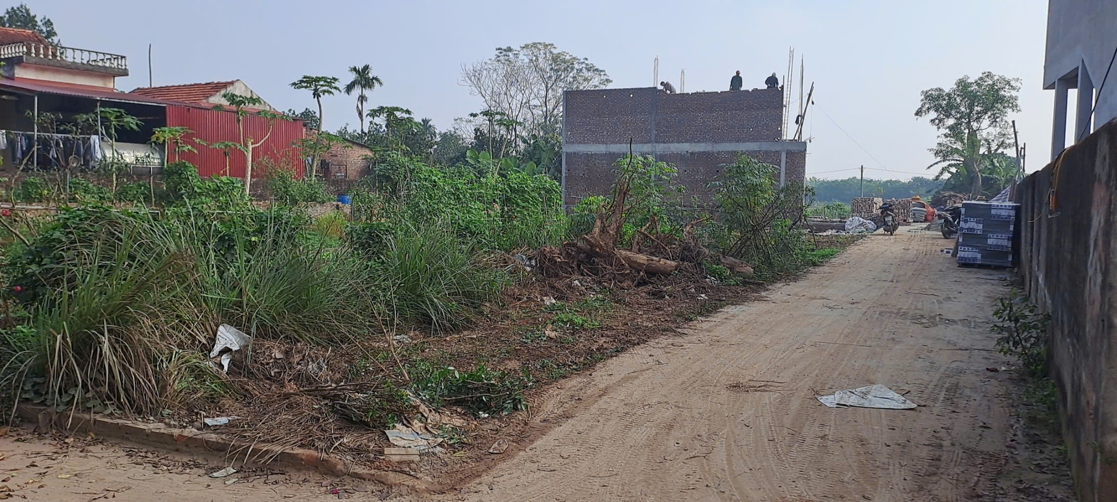 Cơ hội đầu tư đất vị trí đẹp tại Trung Châu A, Đan Phượng, Hà Nội - Sổ đỏ riêng, ô tô đỗ cửa