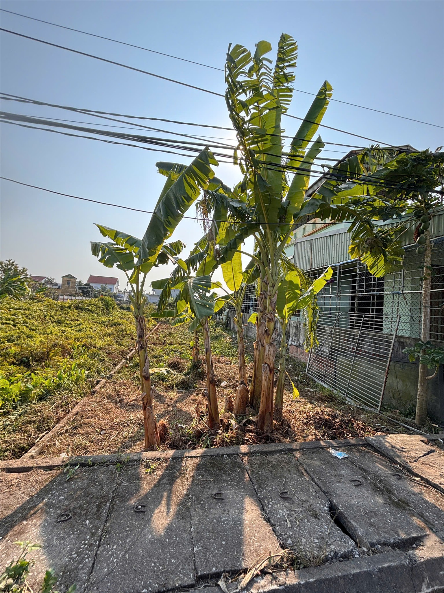 18,x tr/m² – ĐẤT TRỤC ĐƯỜNG QUYẾT TIẾN, HỢP ĐỨC, ĐỒ SƠN QUỸ ĐẤT HIẾM – PHÙ HỢP ĐẦU TƯ DÒNG TIỀN ZALO 0567 222 555