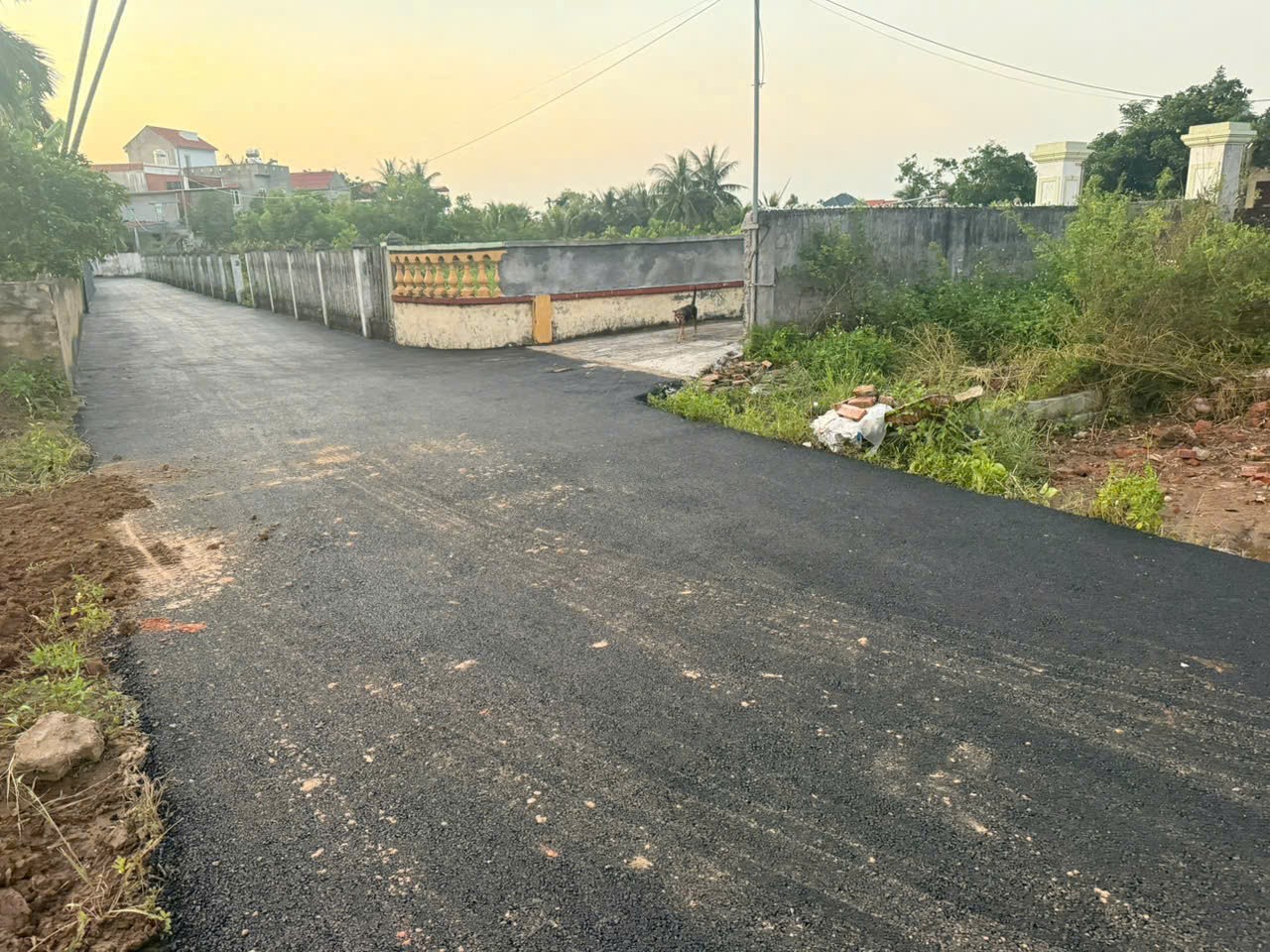 Giá 1 tỷ 1xx 1 lô tuyến 2 đường 361 Tân Phong – Kiến Hải Ngõ ô tô Hàng hiếm khu dân cư ZALO 0567 222 555