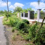  1000m2 - 1