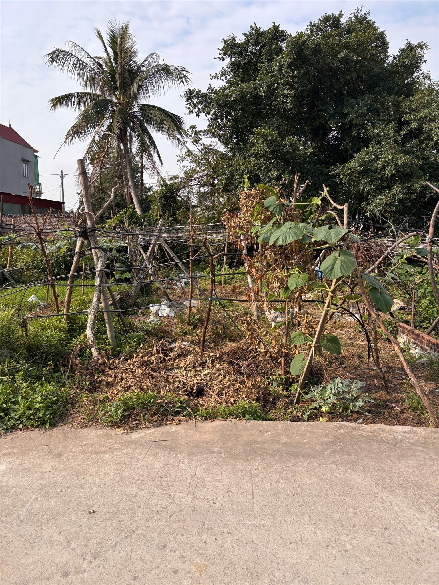 BÁN ĐẤT TÂN THÀNH DƯƠNG KINH 98M2 – NGÕ BÊ TÔNG RỘNG – GIÁ ĐẦU TƯ HIẾM ZALO 0567 222 555