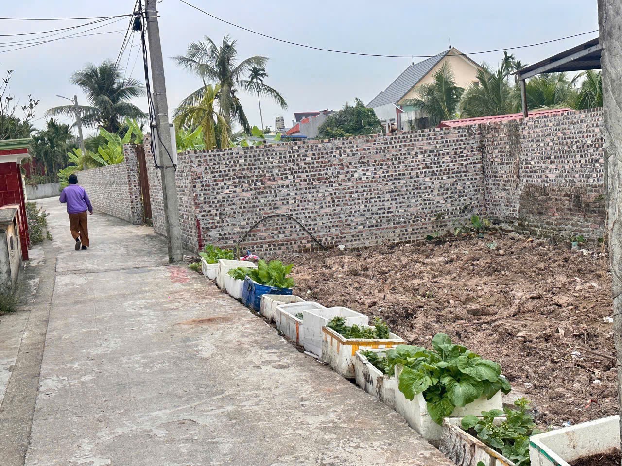 Bán đất Dân Tiến Nam Đồ Sơn giá hiếm hơn 6xx triệu ngõ ô tô ZALO 0567 222 555