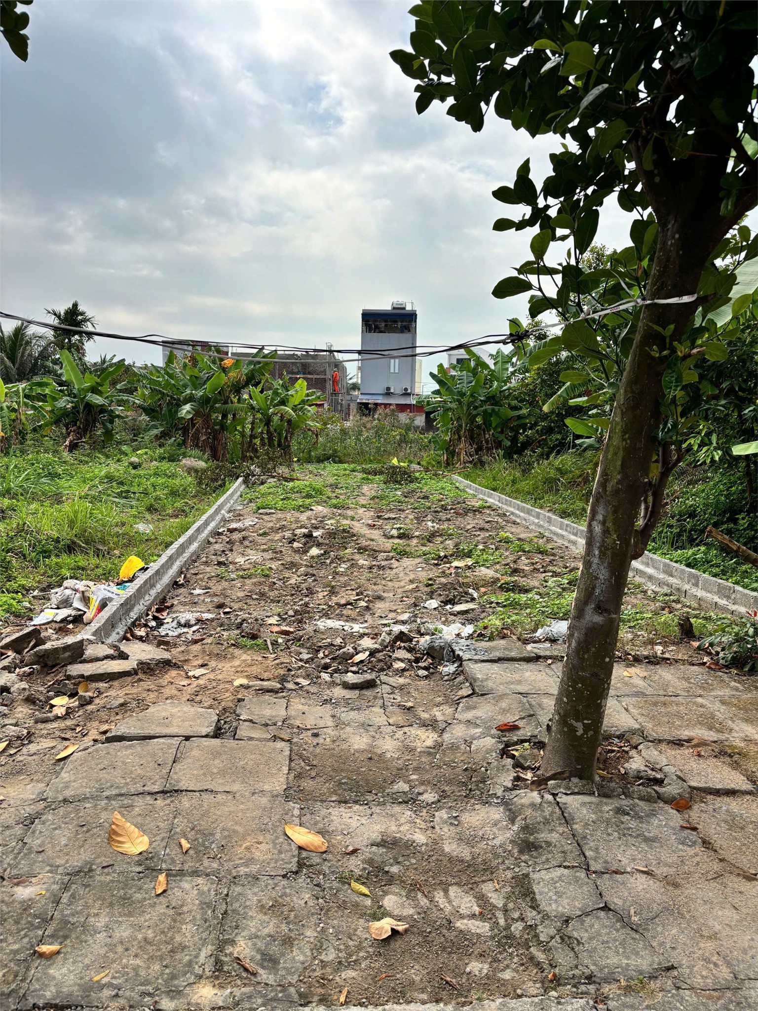 100m² tái định cư Hoà Nghĩa – Ngang 5m – Giá 2x tr/m² Quỹ đất hiếm khu dân cư ZALO 0567 222 555